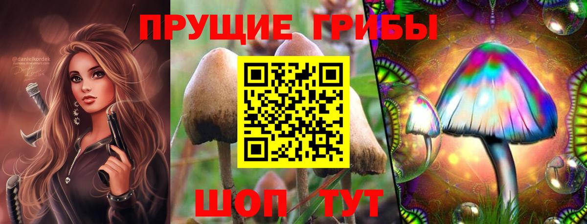 Псилоцибиновые грибы GOLDEN TEACHER Кимры
